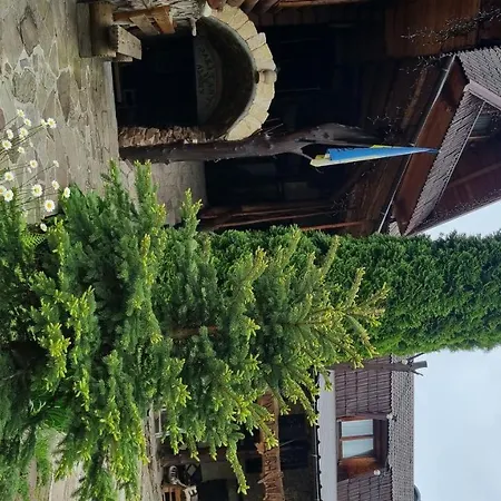 Muzey-sadyba Grazhda 宾馆